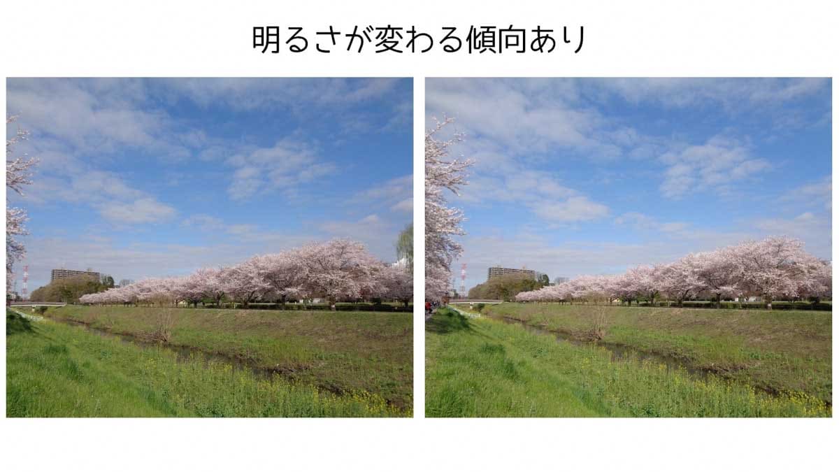 連続で撮影した桜並木の様子