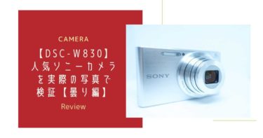【ソニーDSC-W830】人気カメラを実際の写真で検証【曇り】