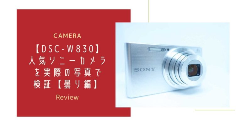 ソニーW830のデジタルカメラの画像